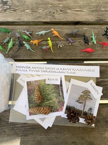 Lasten saariseikkailupäivä 22.7.2023 tietovisatehtävä