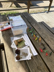 Lasten saariseikkailupäivä 22.7.2023 aarteenmetsästys, tietovisa, dinosaurus fossiilien tunnistus